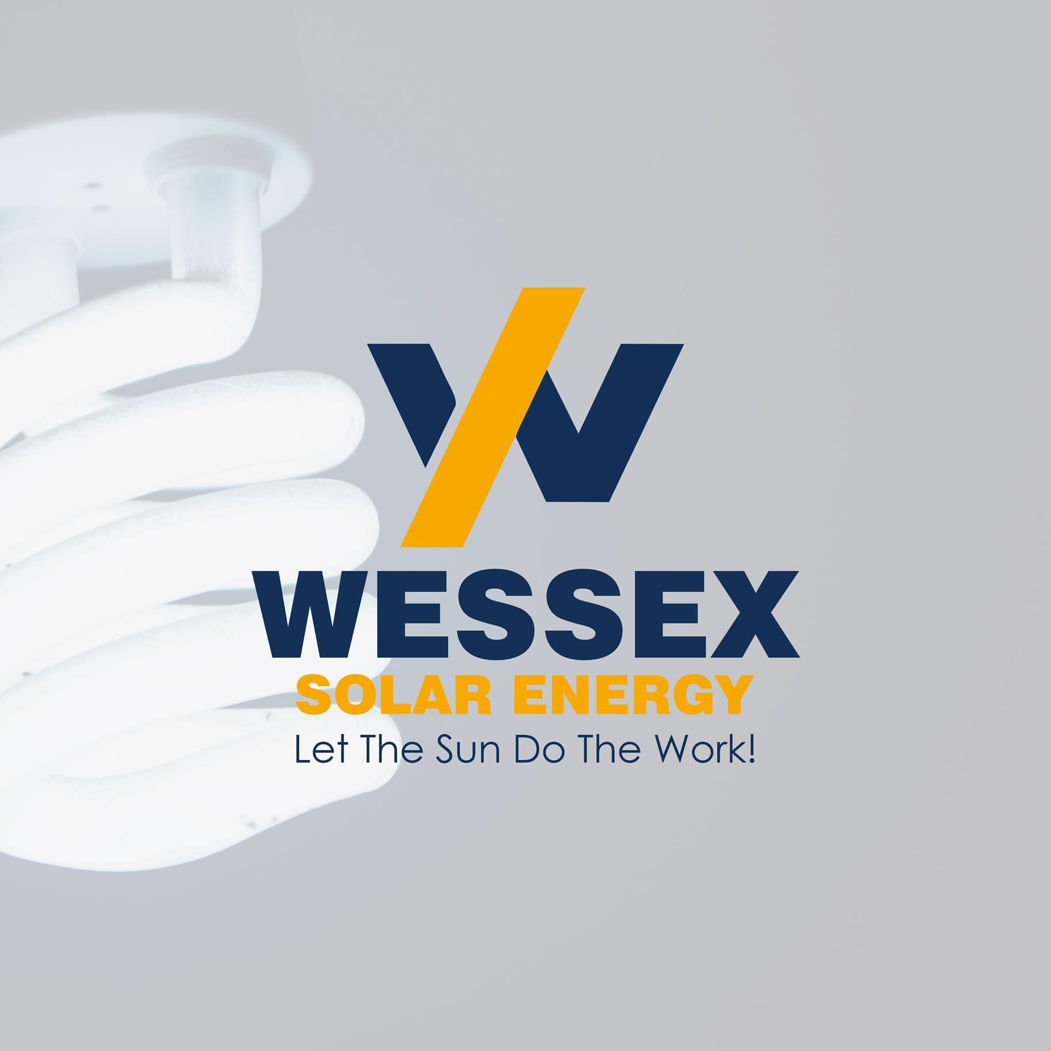 WSEC logo