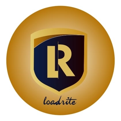 LI logo